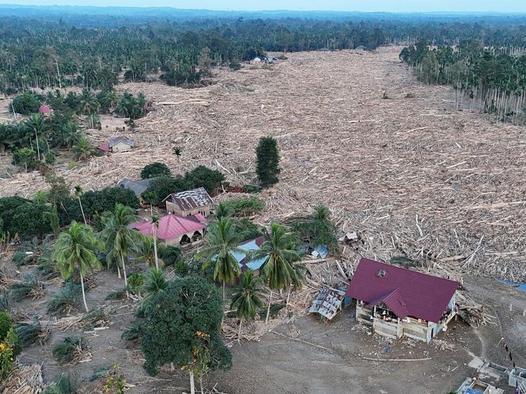Gelondongan Kayu Pascabanjir Beberkan Rusaknya Hutan Aceh