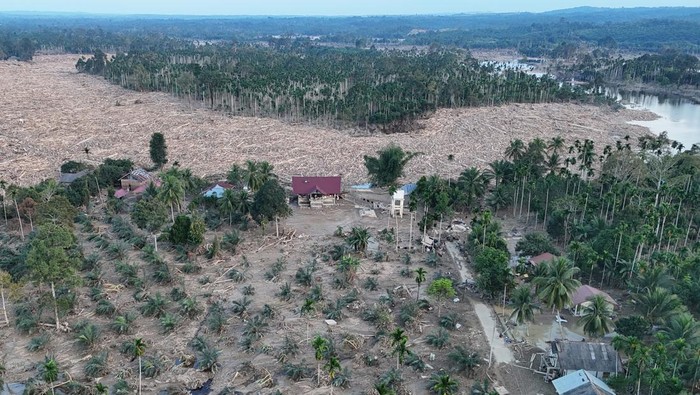 Foto udara kayu gelondongan yang terbawa arus banjir di Desa Geudumbak, Kecamatan Langkahan, Aceh Utara, Aceh, Jumat (5/12/2025). Kayu gelondongan tersebut menumpuk di sepanjang Daerah Aliran Sungai (DAS) Arakundo pasca diterjang banjir bandang pada Rabu (26/11) yang menimpa puluhan rumah warga di desa setempat. ANTARA FOTO/Syifa Yulinnas/foc.