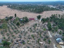 Banjir Bisa Surut, Tapi Karbon Tinggal Selamanya