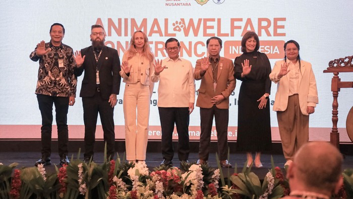 Jakarta Dorong Kolaborasi Perkuat Ekosistem Kesejahteraan Hewan