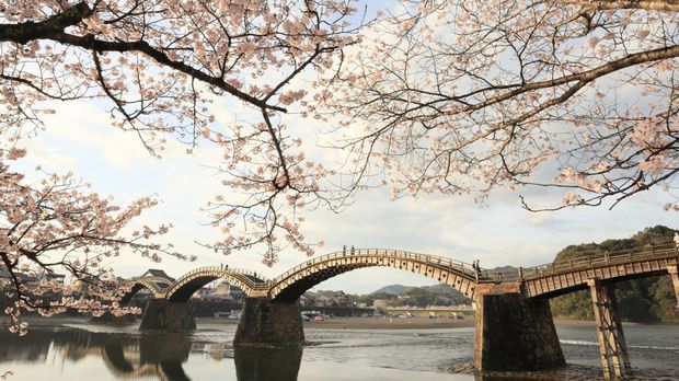 Jembatan Kintaikyo Jembatan Kintaikyo yang indah merupakan mahakarya arsitektur di Prefektur Yamaguchi, Jepang. Jembatan ini terdiri dari lima lengkungan kayu anggun yang membentang rapi di atas Sungai Nishiki, Iwakuni.