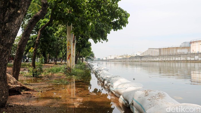 Air rob terpantau meninggi di Kelurahan Lagoa, Jakarta Utara, Rabu (6/11/2025) pagi. Warga diminta tetap waspada menghadapi kondisi pasang.