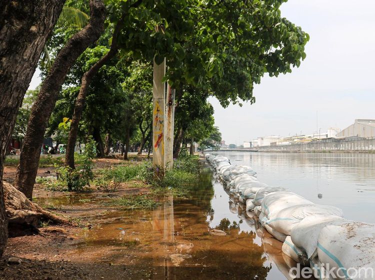 Kali Sunter Meluap, Warga Lagoa Jakut Waspada