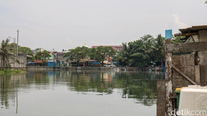 Air rob terpantau meninggi di Kelurahan Lagoa, Jakarta Utara, Rabu (6/11/2025) pagi. Warga diminta tetap waspada menghadapi kondisi pasang.