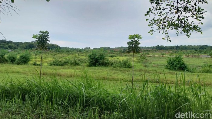 Lahan 15 Hektare Disiapkan untuk Bangun SOR Atlet di Baribis