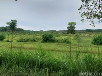 Lahan 15 Hektare Disiapkan untuk Bangun SOR Atlet di Baribis