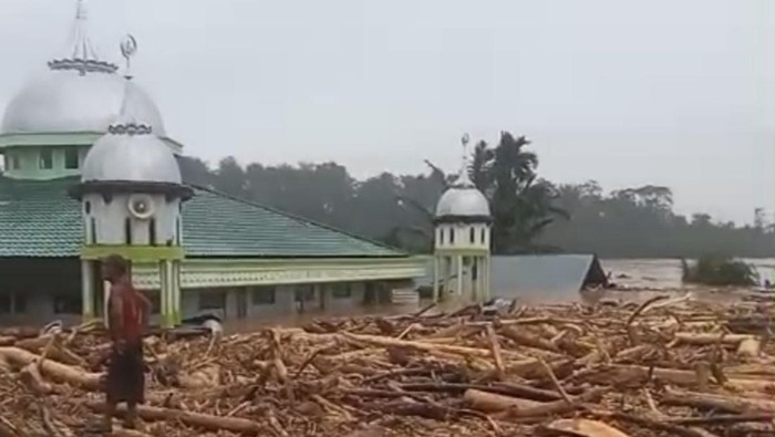 Desa Sekumur di Aceh Tamiang Hilang Disapu Banjir, Hanya Tersisa Masjid