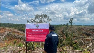 Temuan Kemenhut Soal Kerusakan Hutan Sumatera, Bukan Cuma Faktor Cuaca