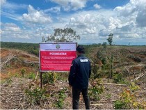 Menyoal Regulasi dan Pengawasan Terhadap Deforestasi Alam di Sumatera