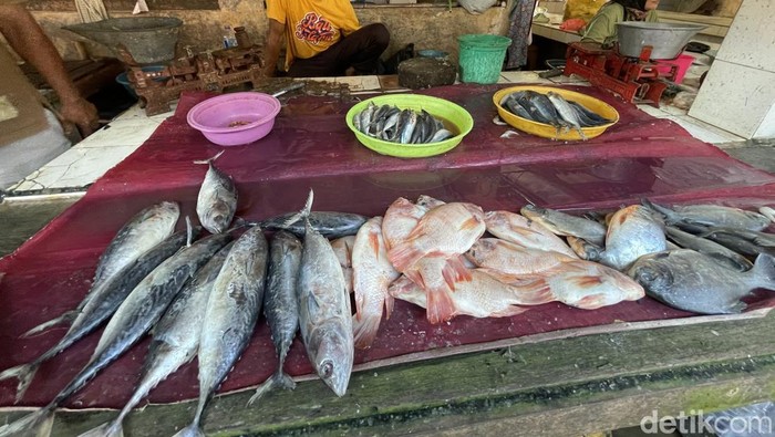Harga Ikan Laut di Pasar Puri Pati Ngegas!
