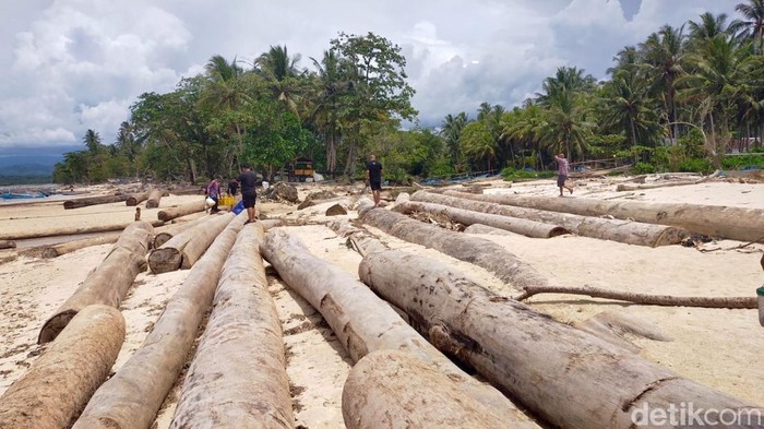 Kayu Gelondongan Asal Sumbar di Pantai Lampung Dikeluhkan Nelayan