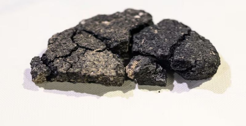 Penemuan Roti 5.000 Tahun Ini Ungkap Pola Makan Manusia Purba Penemuan Roti 5.000 Tahun Ini Ungkap Pola Makan Manusia Purba