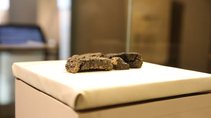 Penemuan Roti 5.000 Tahun Ini Ungkap Pola Makan Manusia Purba
