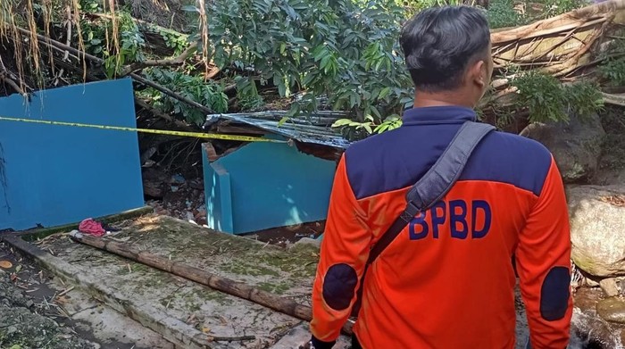 Pohon Beringin Raksasa di Malang Tumbang Timpa Kamar Mandi, 1 Orang Tewas