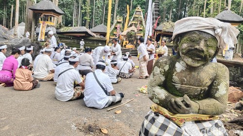 Upacara pecaruan di kawasan Pura Bukit Sari area DTW Alas Pala Sangeh, Badung, Jumat (5/12/2025). (Foto: Agus Eka/detikBali)