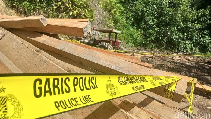 Polda Lampung Segel Aktivitas Pembalakan Liar di Hutan Pesisir Barat