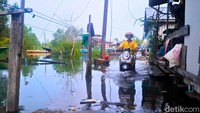 Fenomena air pasang laut atau banjir rob melanda sejumlah wilayah pesisir di Kota Tarakan, Kalimantan Utara. Ketinggian air bervariasi di beberapa kecamatan, genangan terparah nyaris menutup badan jalan utama.Pantauan detikKalimantan di lokasi pada Sabtu (6/12/2025), genangan air terlihat di sejumlah titik Kecamatan Tarakan Timur, Tengah, dan Barat. Di kawasan Lingkas Ujung, Jembatan Besi, Belakang Hotel Topik, dan Karang Rejo air laut menggenang di beberapa titik rendah.
