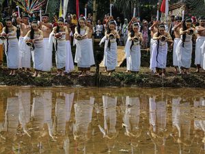 Budaya dan Alam Menyatu dalam Nyadran Sendang Gede di Desa Kandri