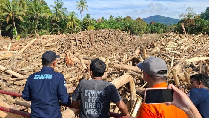 Menteri LH Rahasiakan 1 dari 4 Perusahaan yang Operasinya Dihentikan di Sumut