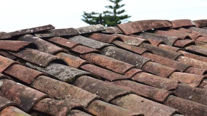 Data BPS Terbaru: Lebih dari Separuh Rumah di RI Masih Pakai Genteng