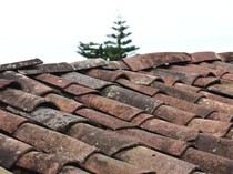 Data BPS Terbaru: Lebih dari Separuh Rumah di RI Masih Pakai Genteng