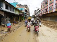 Fosil Ular Purba “Aneh” Ditemukan di Inggris, Mirip Ular Karung
