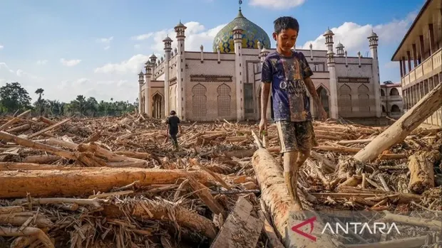 'Lautan Kayu' di Aceh Tamiang (Erlangga Bregas Prakoso-Antara) 'Lautan Kayu' di Aceh Tamiang (Erlangga Bregas Prakoso-Antara)
