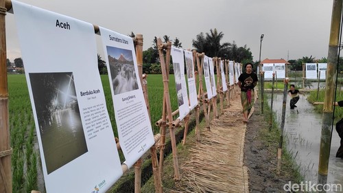 Pameran foto bertajuk Risau di tengah sawah Abian Carik, Desa Kapal, Mengwi, Badung, Bali, Sabtu (6/12/2025). (Foto: Agus Eka/detikBali)