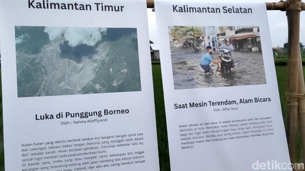 Pameran foto bertajuk 'Risau' di tengah sawah Abian Carik, Desa Kapal, Mengwi, Badung, Bali, Sabtu (6/12/2025). (Foto: Agus Eka/detikBali) Pameran foto bertajuk 'Risau' di tengah sawah Abian Carik, Desa Kapal, Mengwi, Badung, Bali, Sabtu (6/12/2025). (Foto: Agus Eka/detikBali)