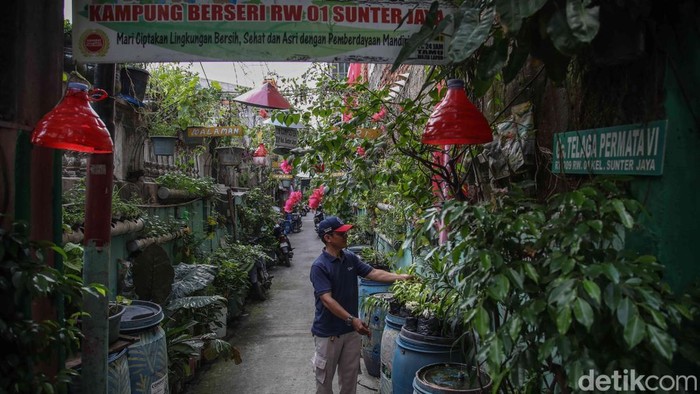 Perkuat Ketahanan Pangan, DPW LDII Jakarta dan Dinas KPKP Siapkan Kerja Sama Urban Farming