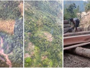 Video: Ada Pembalakan Hutan di Lampung, Polisi Turun Tangan