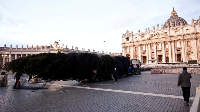 A Christmas tree is installed in St. Peter's Square ahead of the festive season at the Vatican, November 27, 2025. REUTERS/Matteo Minnella