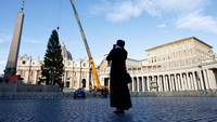 Pengunjung dan peziarah turut menyaksikan proses pemasangan pohon yang akan menjadi pusat perhatian selama rangkaian acara Natal di Vatikan. Foto: REUTERS/Matteo Minnella