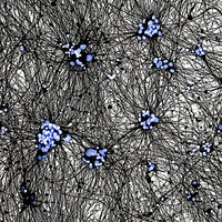 Royal Society Publishing Photography Competition 2025