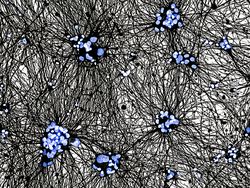 Terpukau Jawara Kontes Foto Ilmiah, Ada yang Pakai iPhone 16 Pro Max