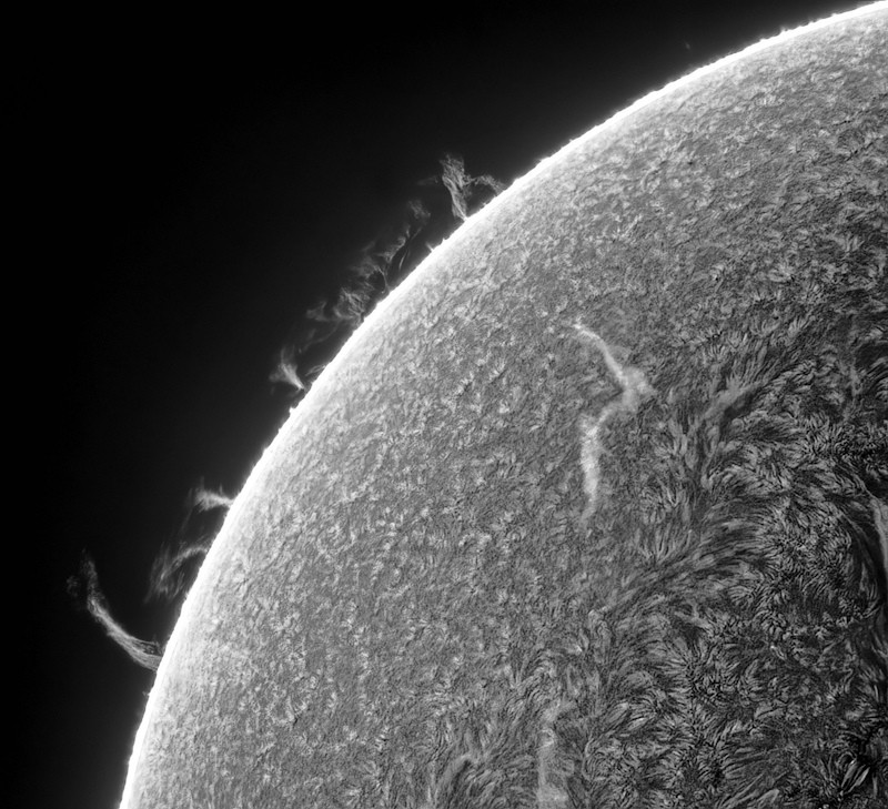 Royal Society Publishing Photography Competition 2025