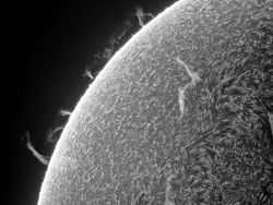 Terpukau Jawara Kontes Foto Ilmiah, Ada yang Pakai iPhone 16 Pro Max