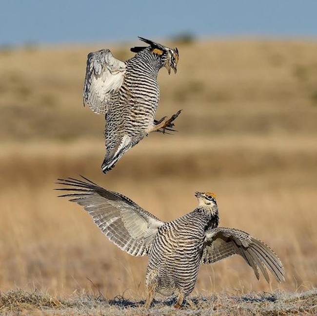 Terpukau Jawara Kontes Foto Ilmiah, Ada yang Pakai iPhone 16 Pro Max