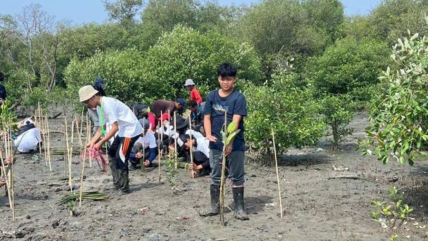 Seorang siswa di Surabaya menginspirasi dengan kepeduliannya Siswa SMPN 1 Surabaya Tanam Ribuan Mangrove Cegah Abrasi dan Banjir