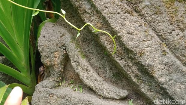 Situs Candi Klaten Reruntuhan yang merupakan Situs Candi Bekelan di Dusun Bekelan, Desa/ Kecamatan Karangnongko, Klaten, Minggu (7/12/2025).