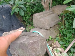 Kondisi Situs Candi Bekelan Klaten Menyedihkan, Tertimbun Pohon dan Semak