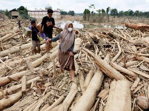 Video Pemerintah Izinkan Warga Gunakan Kayu Gelondongan Pascabanjir Sumatera