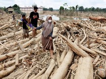 4 Perusahaan Disegel Terkait Dugaan Penyebab Banjir di Sumatera