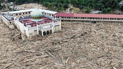 Tumpukan Kayu Pascabanjir Bandang Putus Akses Desa Tanjung Karang Aceh Tamiang
