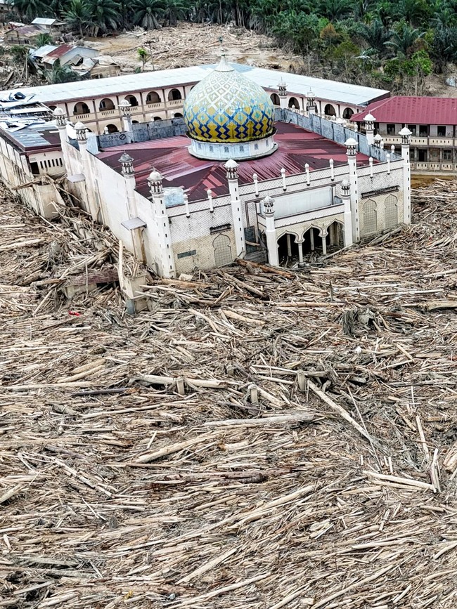 Tumpukan Kayu Pascabanjir Bandang Putus Akses Desa Tanjung Karang Aceh Tamiang