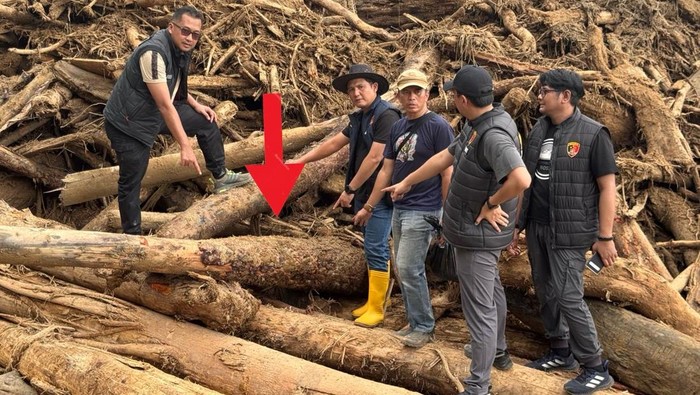 Bareskrim Ambil 27 Sampel Kayu di Garoga: Ada Hasil Gergaji-Dicabut Alat Berat