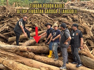 Bareskrim Ambil 27 Sampel Kayu di Garoga: Ada Hasil Gergaji-Dicabut Alat Berat