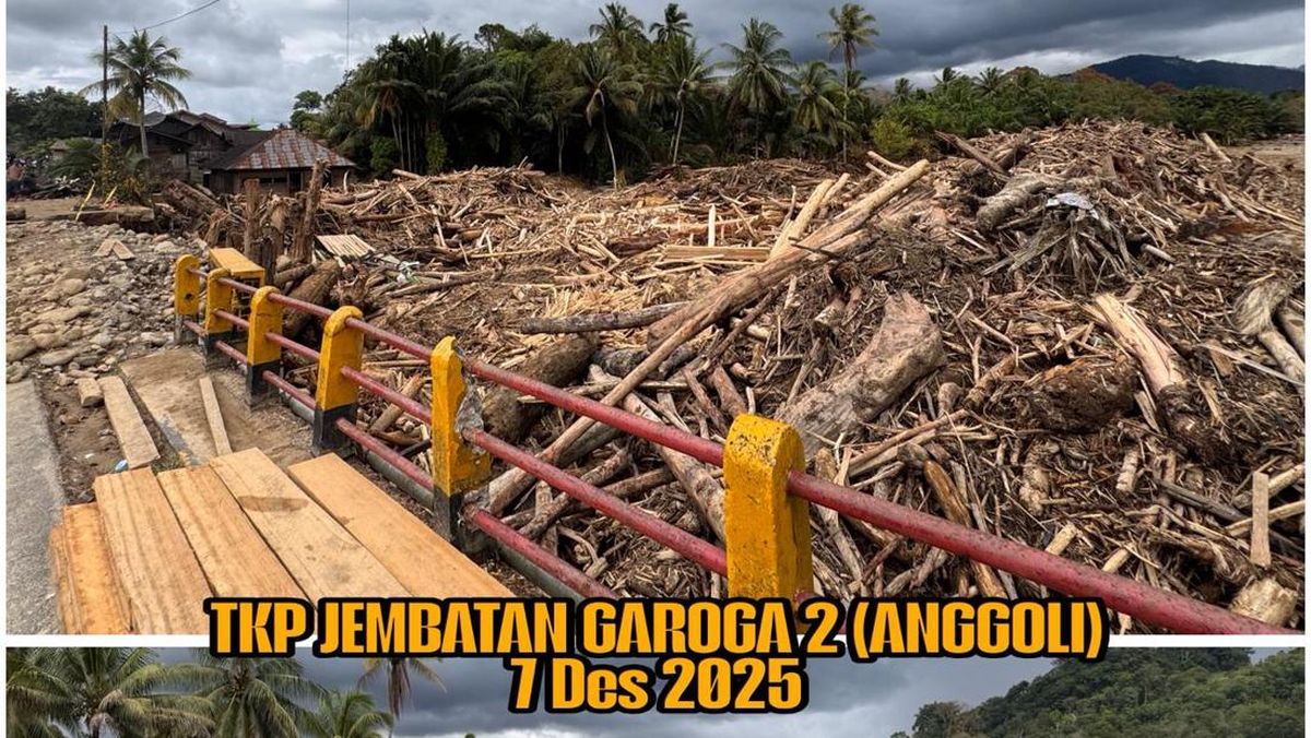 Kasus Gelondongan Kayu Terbawa Banjir di Garoga-Anggoli Naik Penyudikan!