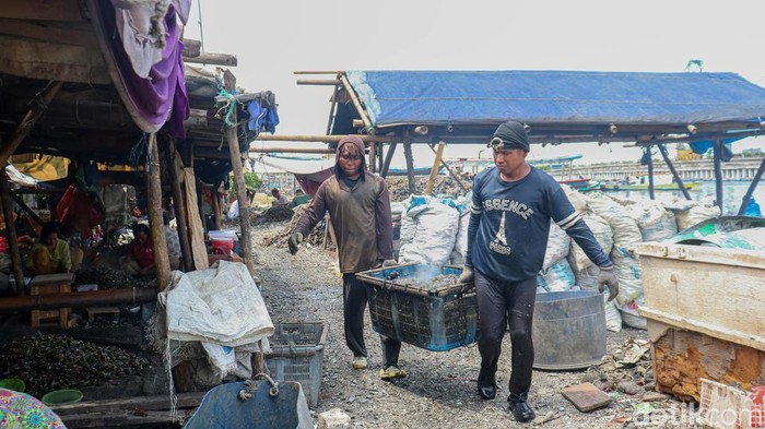 Nelayan tampak bergantian tiba di kawasan pesisir Cilincing, Jakarta Utara, Senin (8/12/2025), untuk mencari rezeki di tengah cuaca yang tidak menentu. Aktivitas rutin ini menjadi denyut ekonomi masyarakat pesisir.