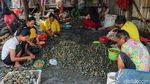 Denyut Ekonomi Pesisir Cilincing Tetap Hidup di Tengah Tumpukan Cangkang Kerang